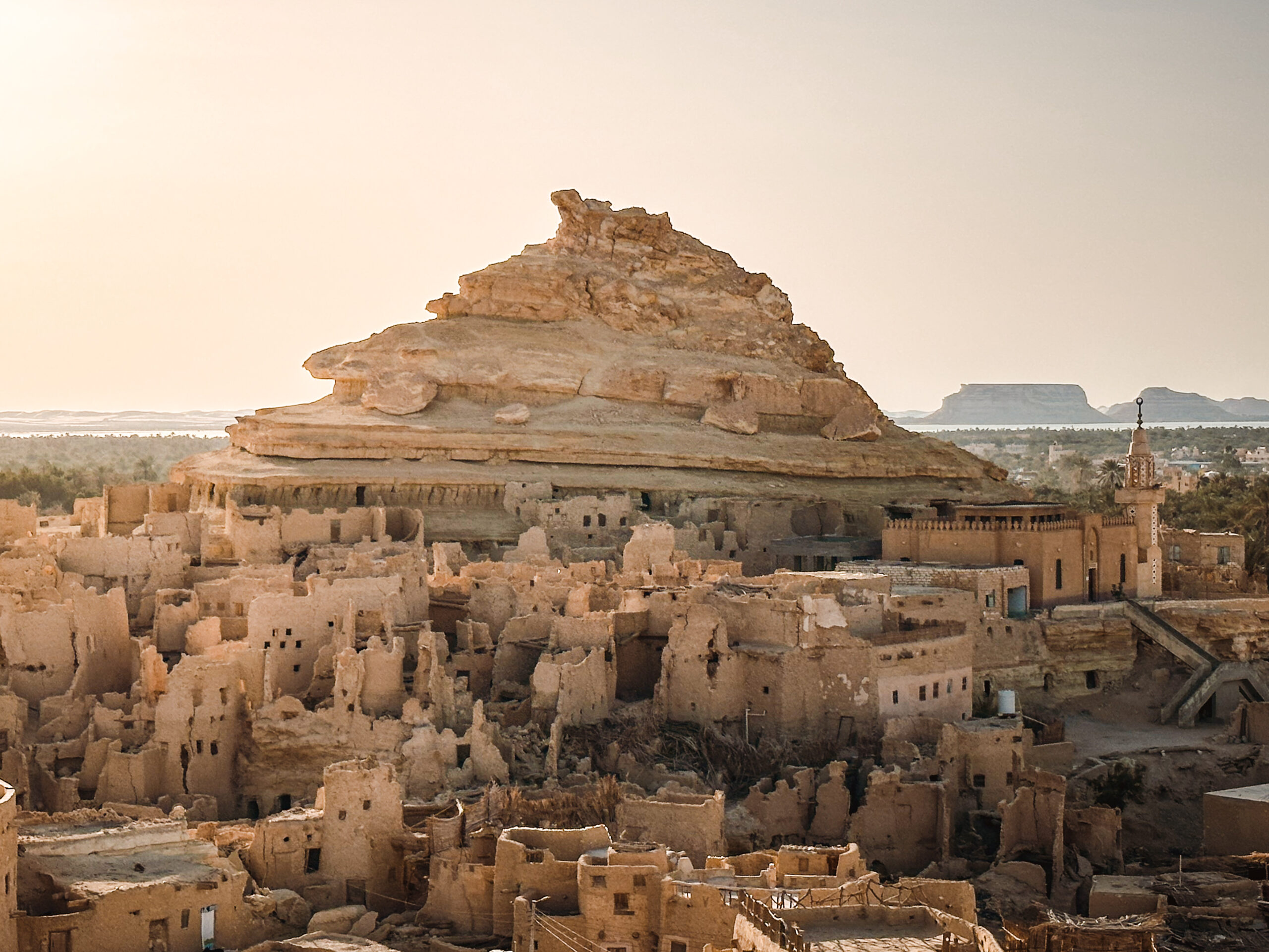 Into the Wild Unknown