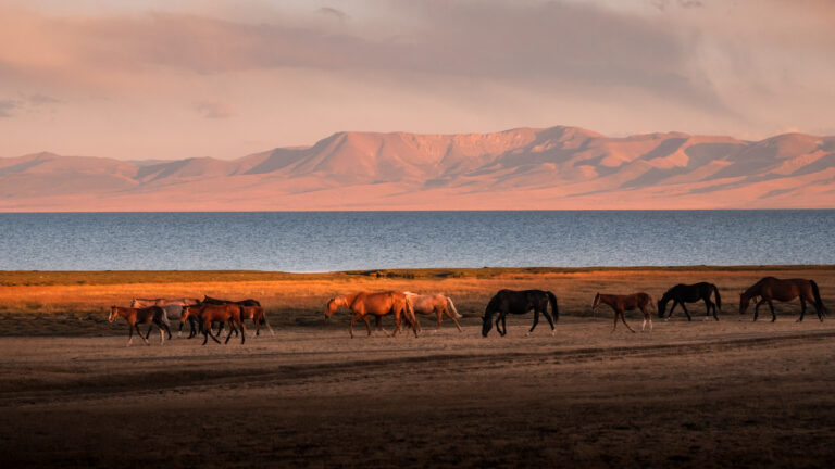 Trekking to Song-Kul Lake in Kyrgyzstan: A 3-Day Hiking Guide