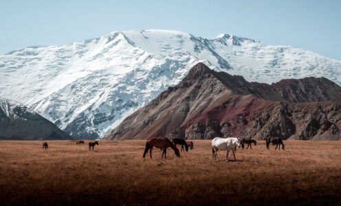 Kyrgyzstan