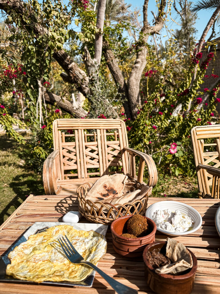 breakfast in the garden in siwa oasis