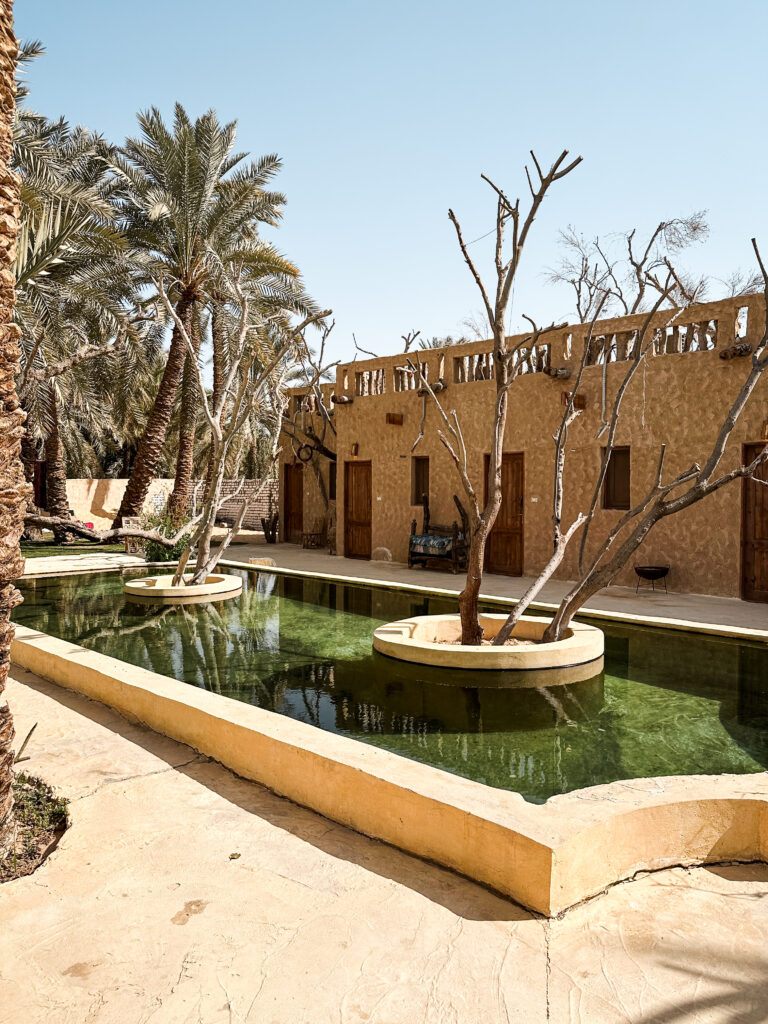 hotel's green and lush courtyard in siwa oasis