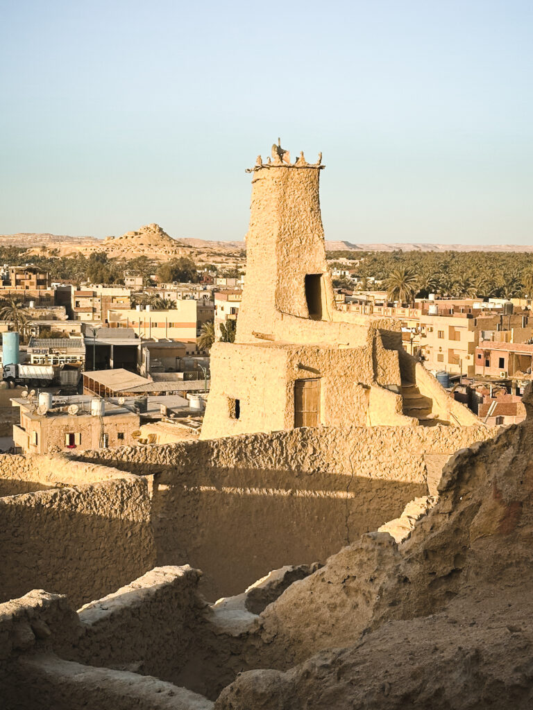 Views of the oasis from shali fortress in siwa oasis