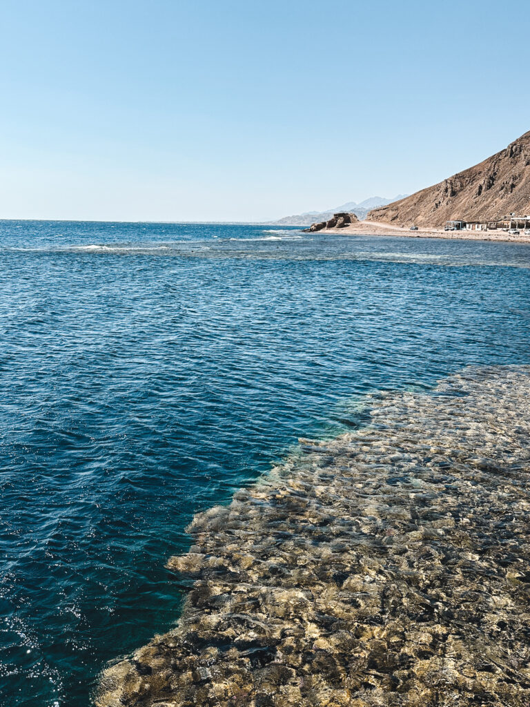 coastline and coral reef in the red sea in sinai peninsula