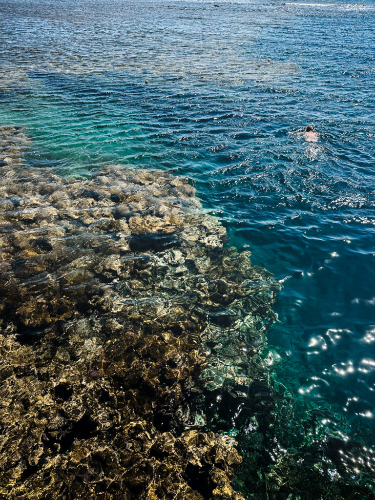 blue hole's coral reef from above in the red sea in sinai peninsula