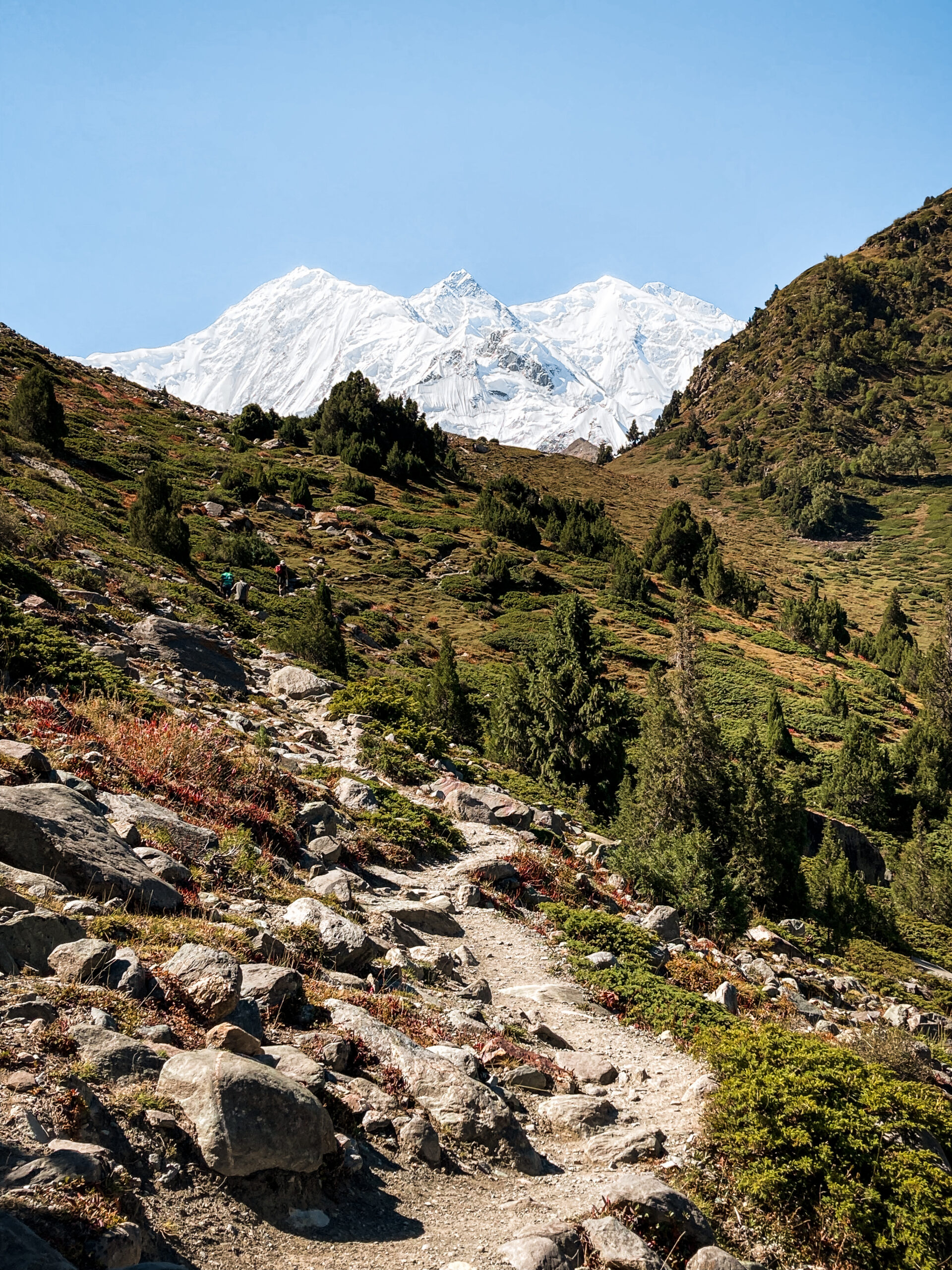 Views of Rakaposhi, Rakaposhi basecamp trek, Minapin, Gilgit-Baltistan, Pakistan
