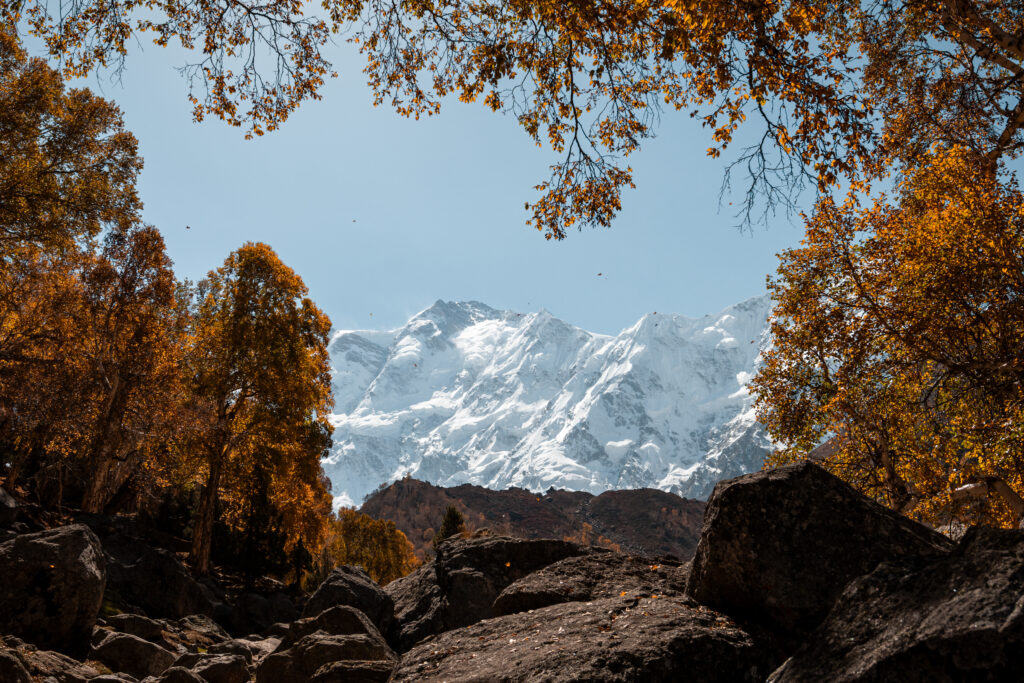 Views of Nanga Parbat with autumn leaves