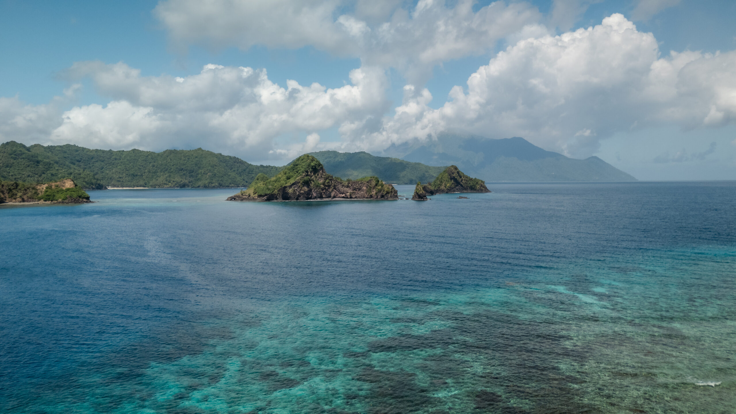 Into the Wild Unknown