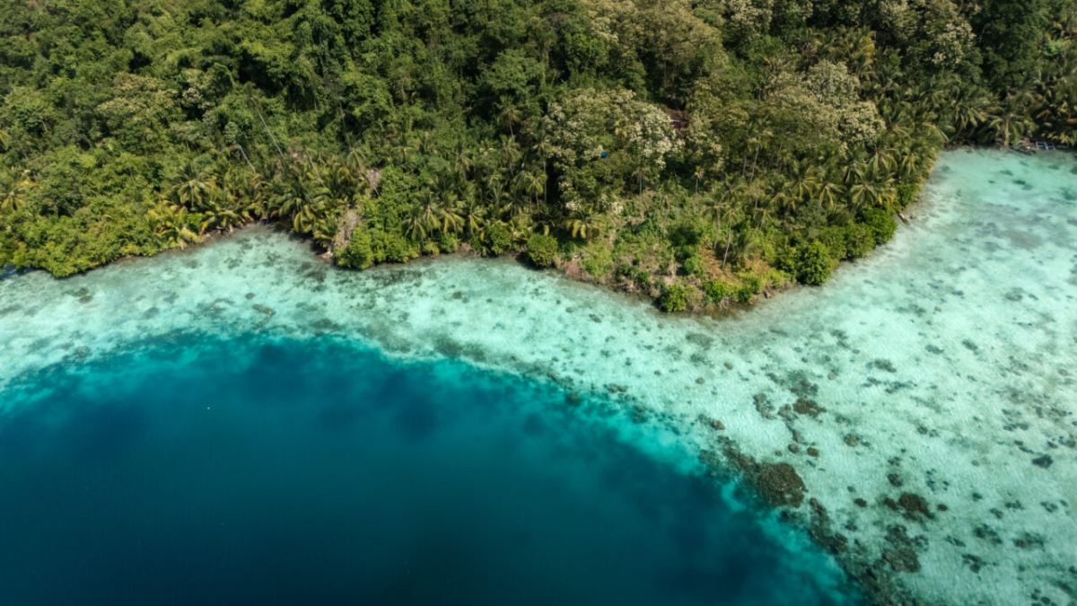 Aerial view of Kawalu Bay, Peleng, Indonesia