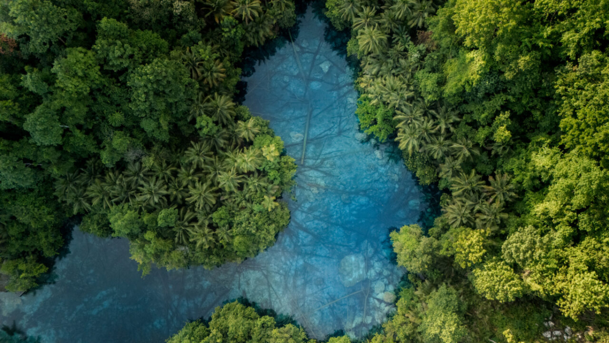 Aerial view of Paisu Pok Lake, Peleng, Banggai Islands, Indonesia