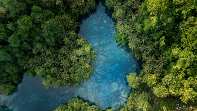 Aerial view of Paisu Pok Lake, Peleng, Banggai Islands, Indonesia