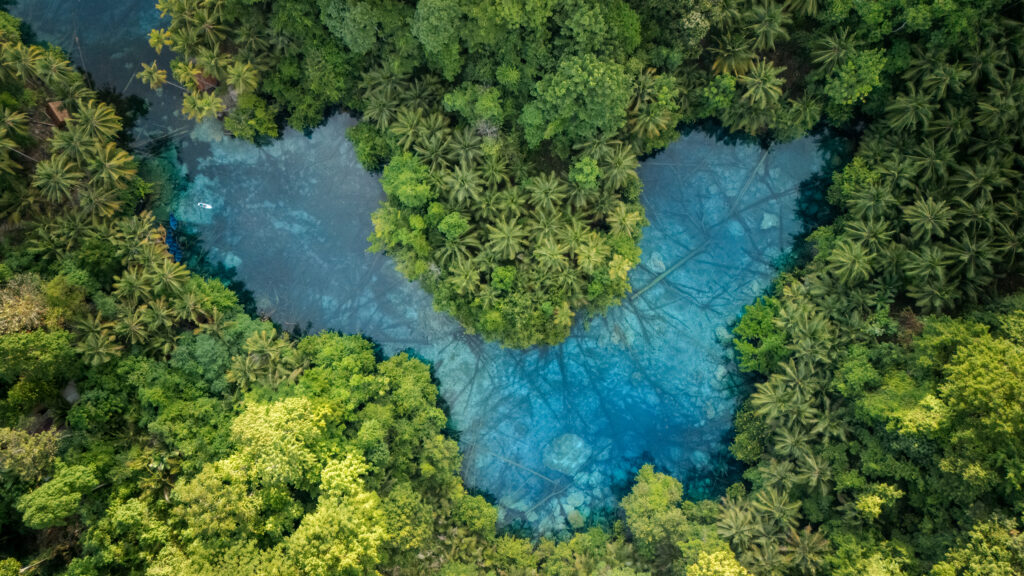 Aerial view of Paisu Pok Lake, Peleng, Banggai Islands, Indonesia