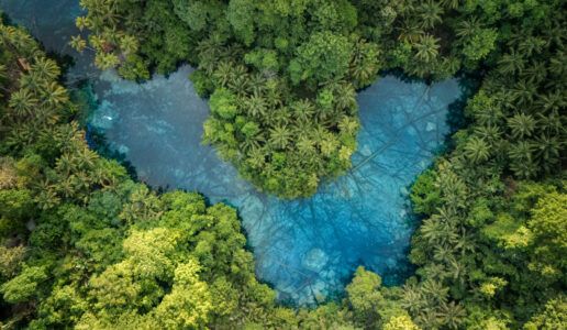 Banggai Islands Travel Guide: Budget Backpacking in Sulawesi