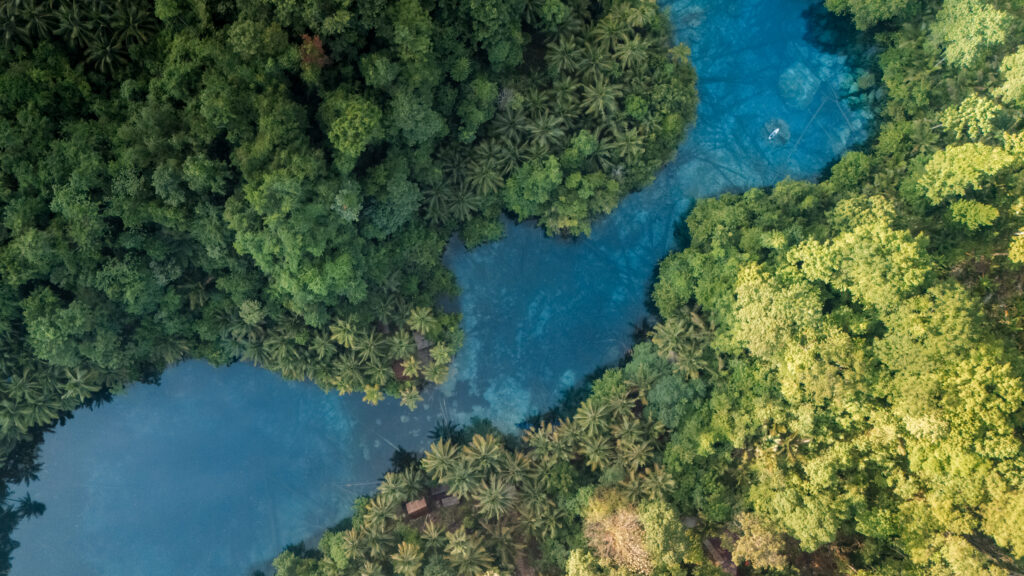 Aerial view of Paisu Pok Lake, Peleng, Indonesia