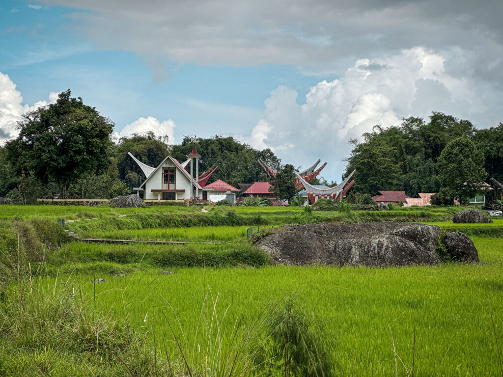 Tana Toraja rice field and traditional tongkonan houses, Sulawesi, Indonesia