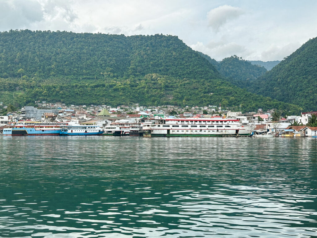 Lush green mountains and Luwuk harbour, Sulawesi, Indonesia