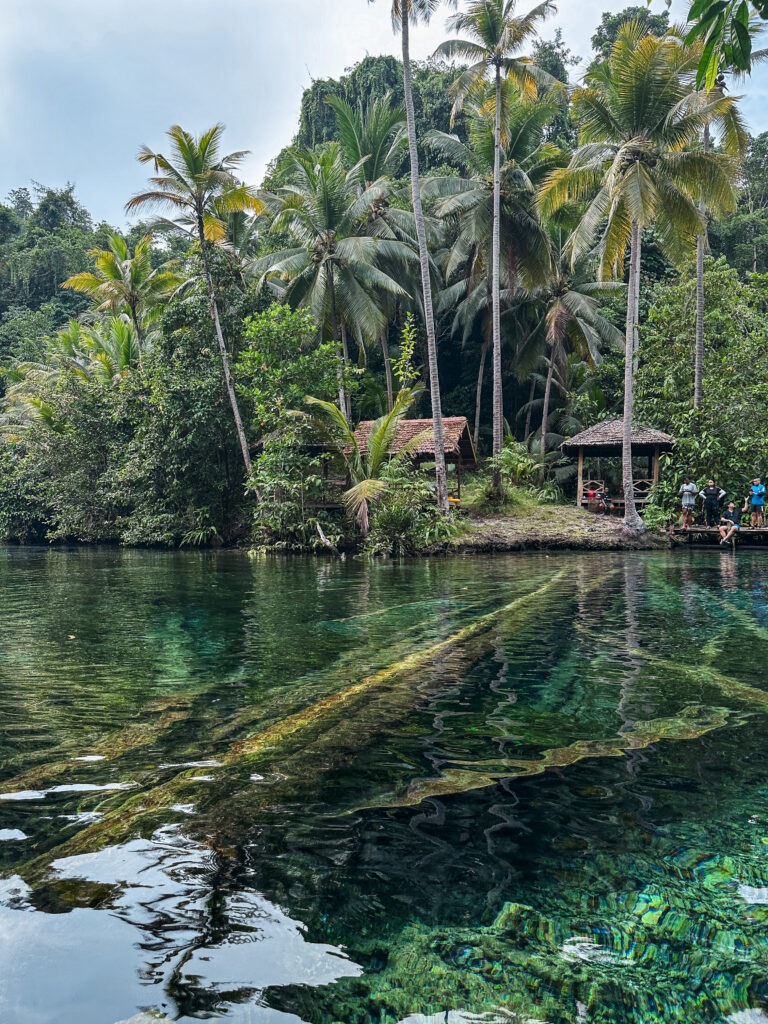 clear water of Paisu Pok Lake, Peleng, Indonesia