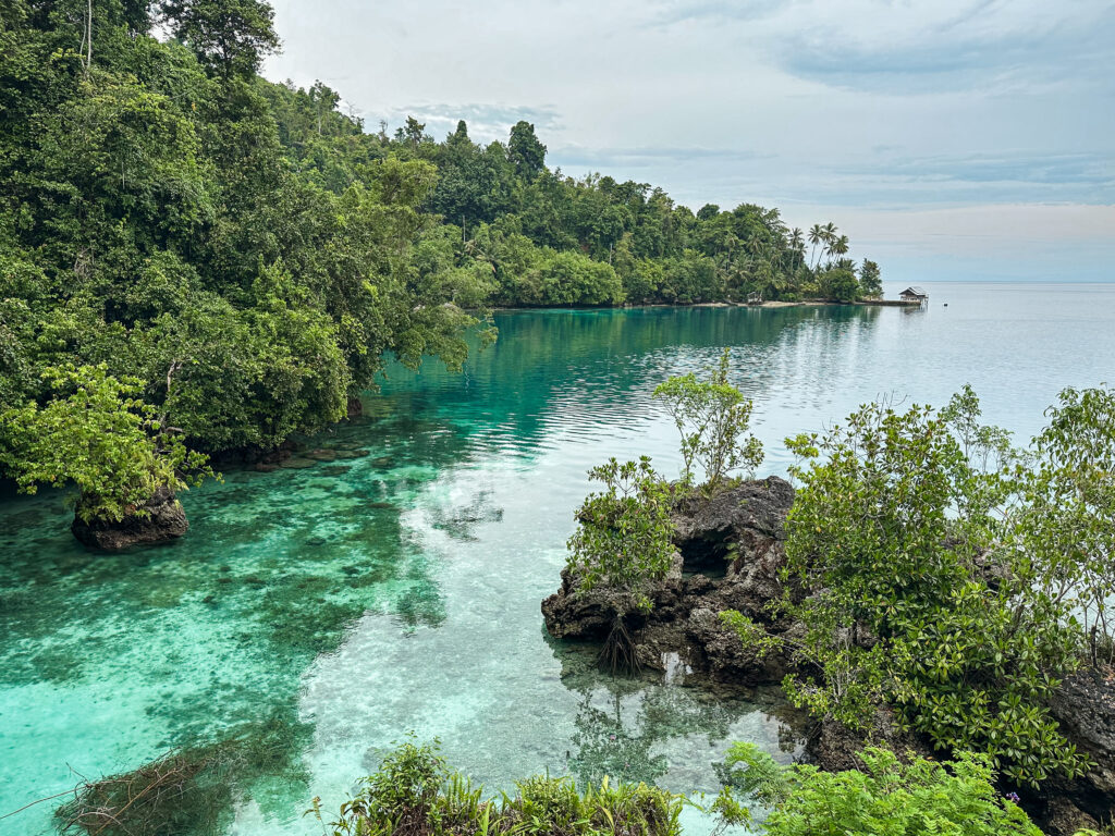 Turquoise blue bay with forested costline, Peleng Indonesia