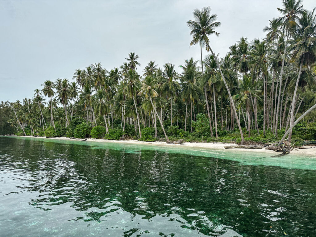 Poganda beach lines with palm trees on a cloudy afternoon, Peleng, Indonesia