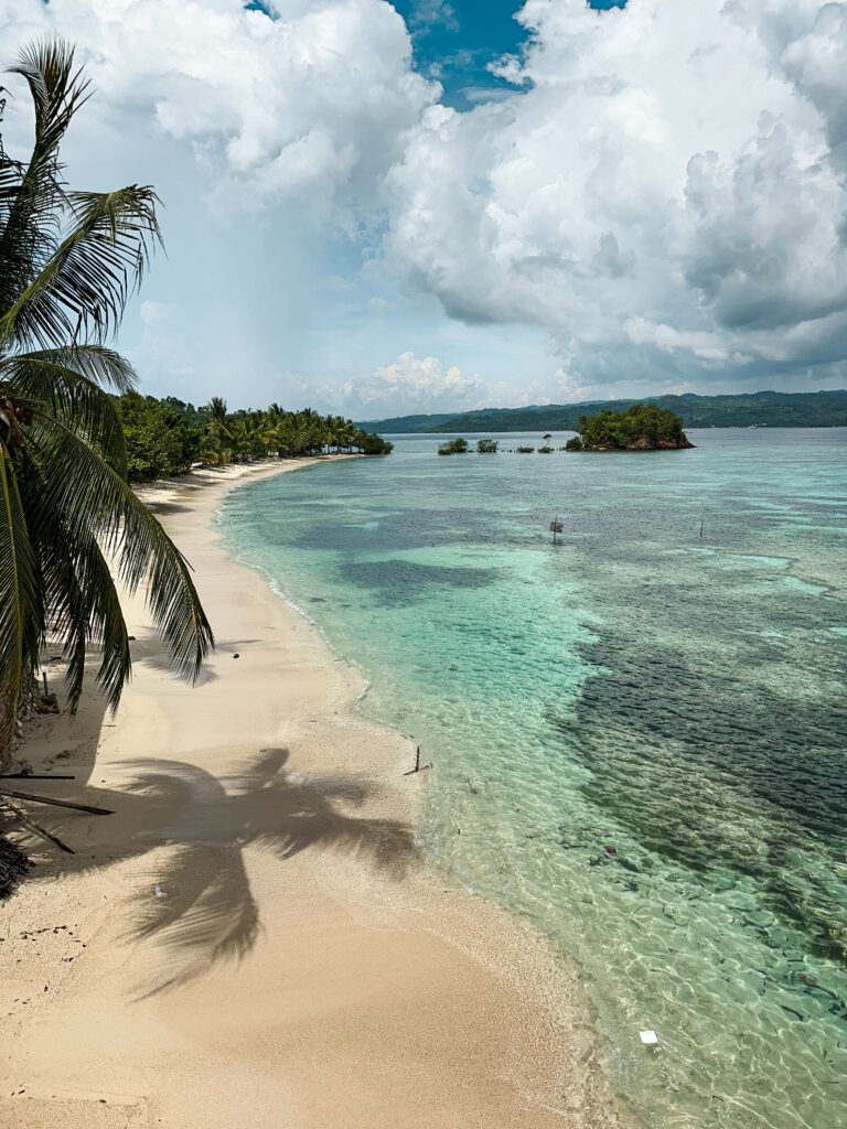Local white-sand beach lined with palm trees, Banggai Laut, Indonesia