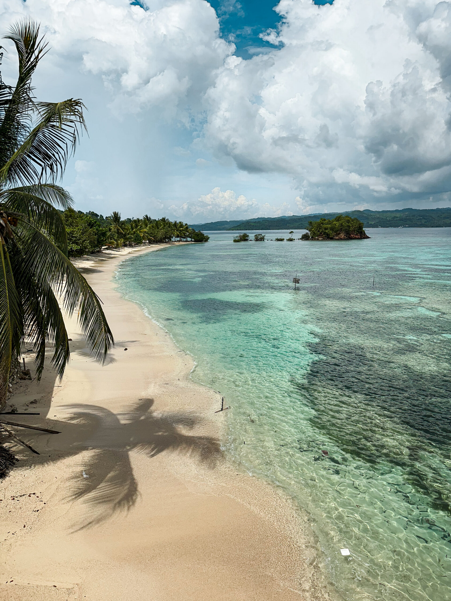 Local white-sand beach lined with palm trees, Banggai Laut, Indonesia