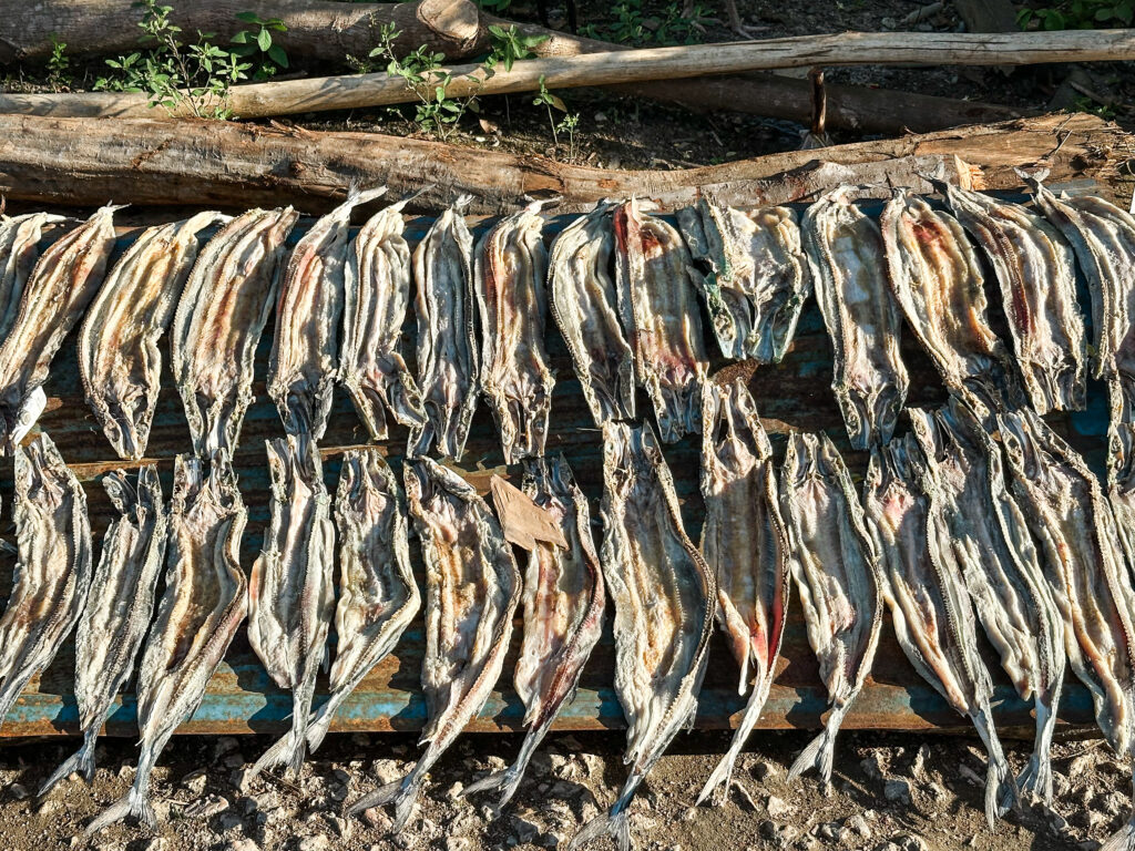 Drying fish in the sun in Bajo village, Banggai Laut, Indonesia
