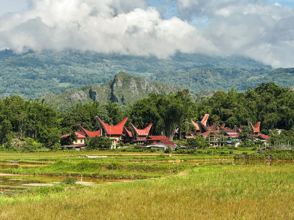 Tana Toraja traditional tongkonan houses and rice fields, Sulawesi, Indonesia