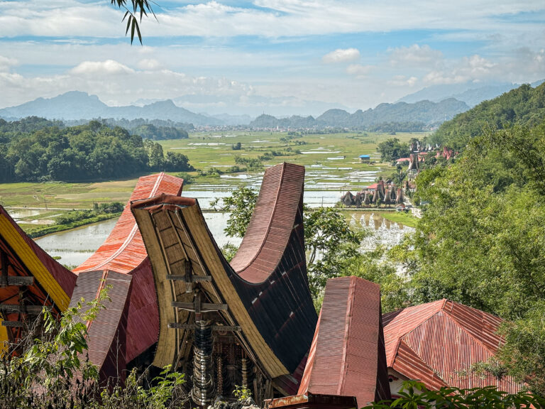 Viewpoint with Tana Toraja traditional tongkonan houses and rice fields, Sulawesi, Indonesia