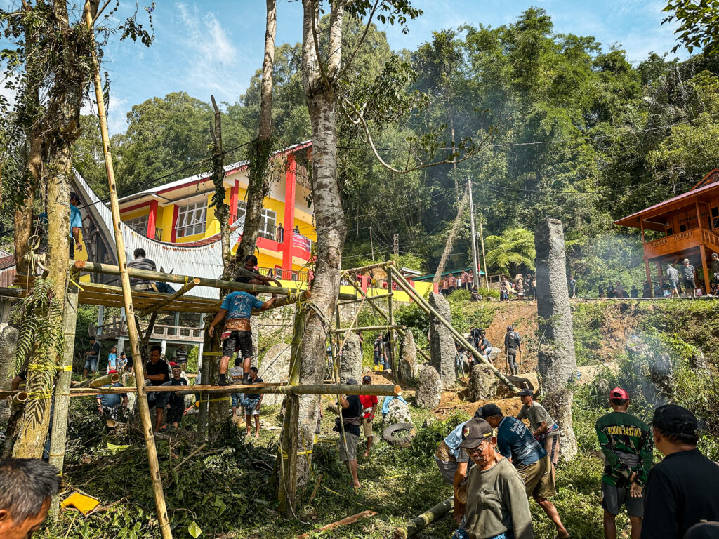 Tana Toraja ceremony of erecting monoliths, Sulawesi, Indonesia