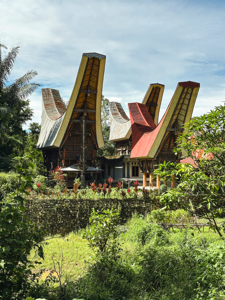 Tana Toraja traditional tongkonan houses, Sulawesi, Indonesia