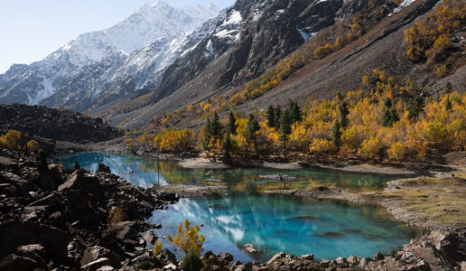Naltar Valley Travel Guide: How to Get There Independently