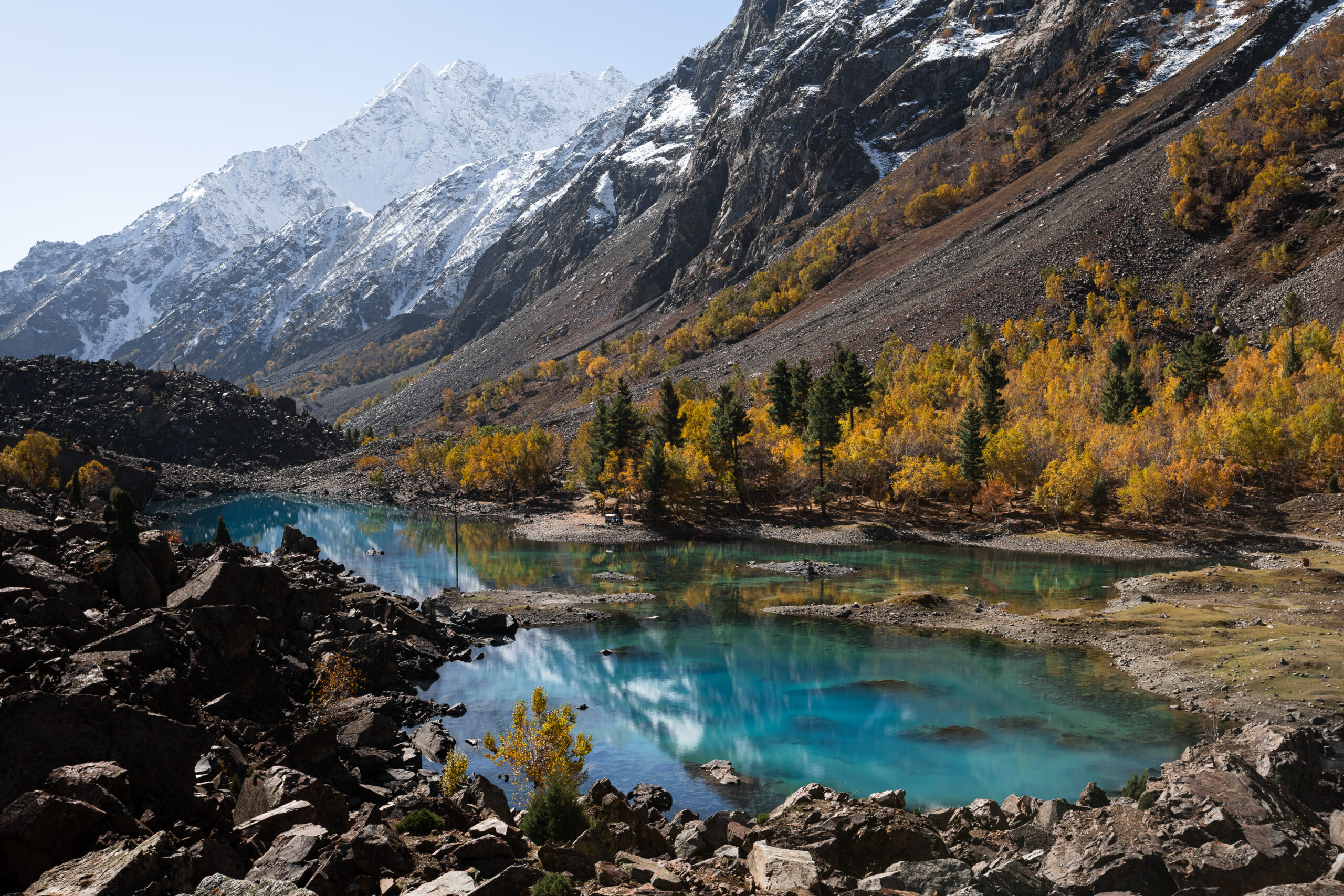 Naltar Valley Travel Guide: How to Get There Independently