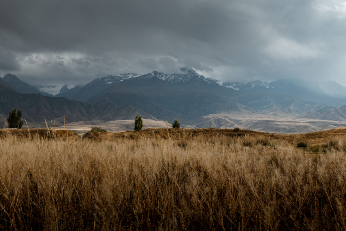 fields with Mountain landscapes, Kyrgyzstan