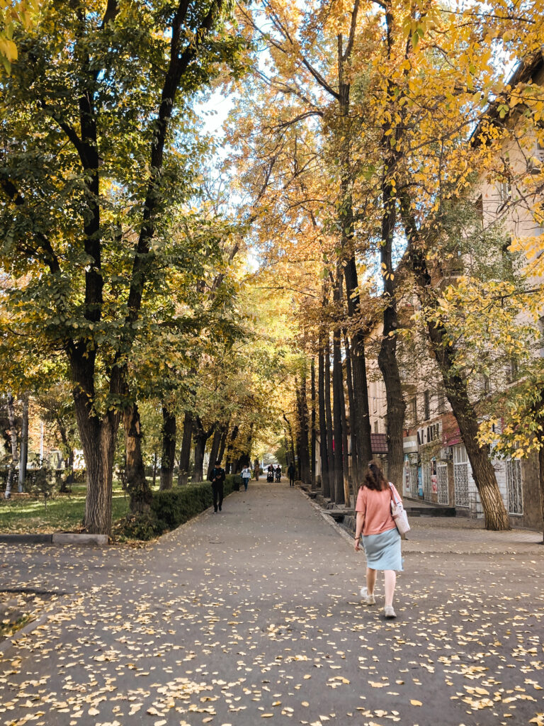 streets in autumn in Bishkek travel guide, Kyrgyzstan