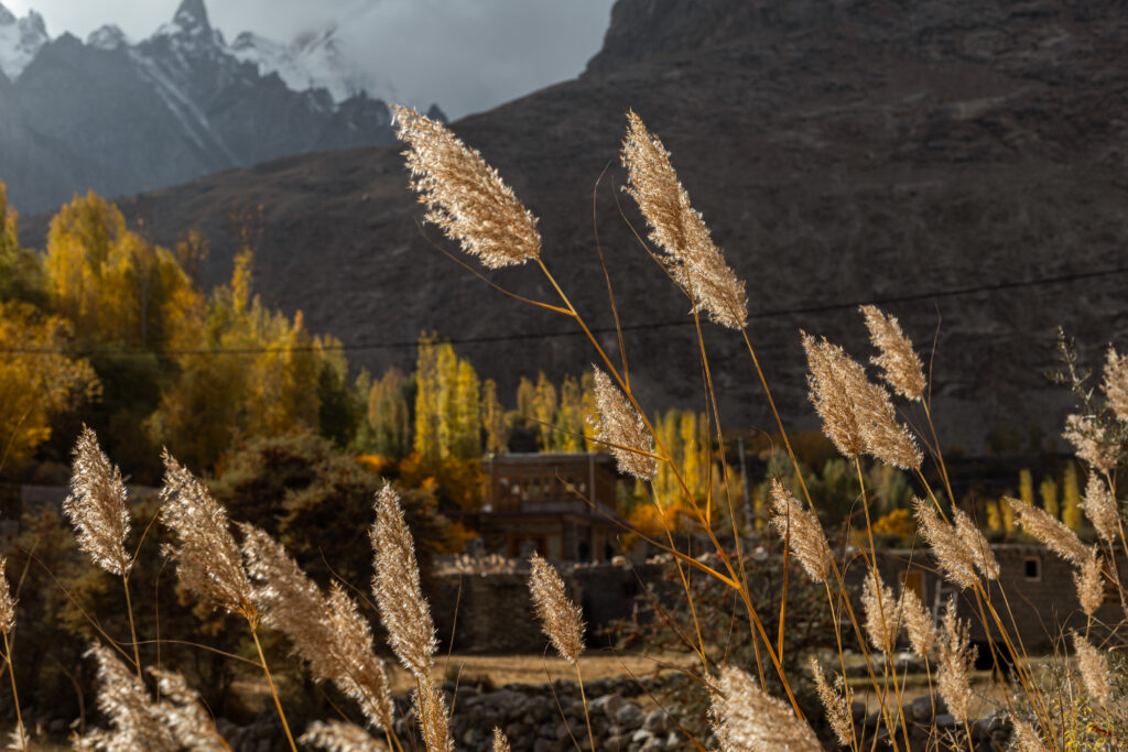 Ghulkin village in Autumn, where to go in Hunza, backpacking Northern Pakistan
