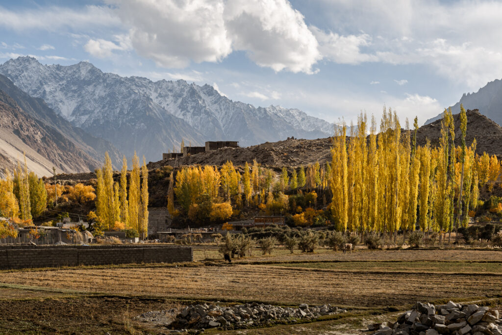 Ghulkin village in Autumn, where to go in Hunza, backpacking Northern Pakistan