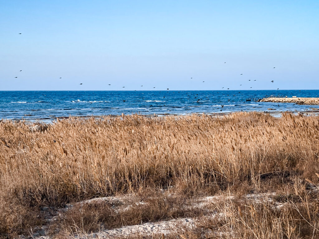 Caspian Sea in Aktau, travelling Kazakhstan by train